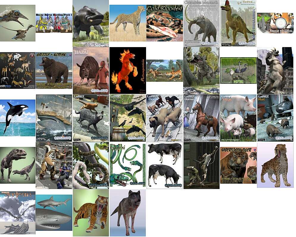  Animals