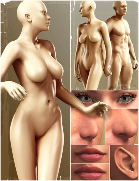 Genesis Evolution
